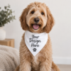 ChatGPT Image Sep 15, 2026, 03_49_42 PM Personalized Dog Bandana | Custom Pet Name & Photo Bandana